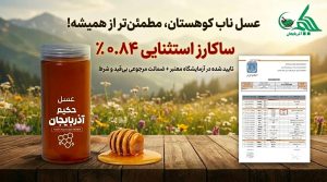 وب سایت فروشگاهی | حکیم آذربایجان